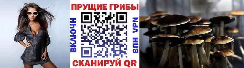 blacksprut маркетплейс  Обоянь  Галлюциногенные грибы GOLDEN TEACHER  сколько стоит 
